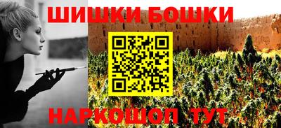 шишки Гай