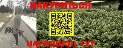 шишки Гай