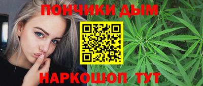 шишки Гай
