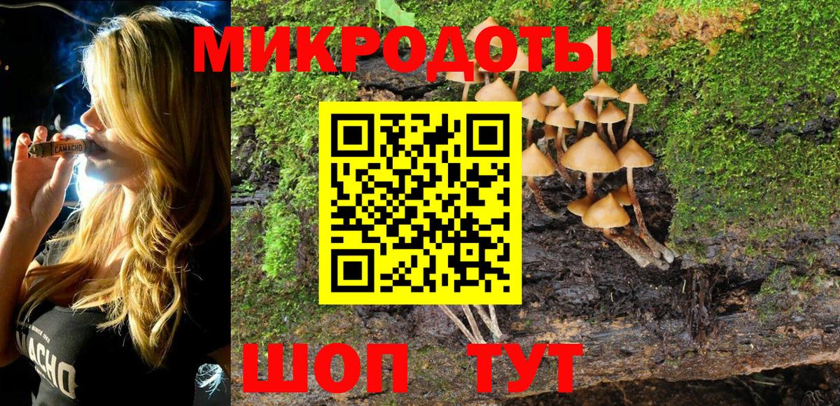 Галлюциногенные грибы мицелий Карабулак